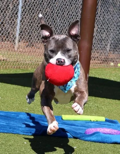 Mikey Urgent! thumbnail 6