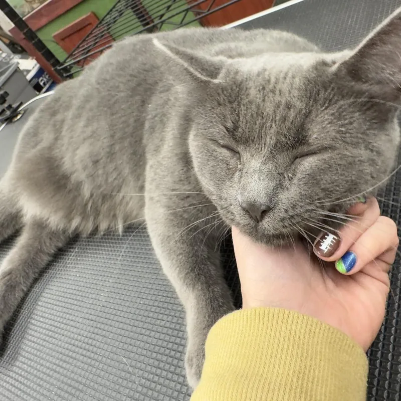 Momma Smokey thumbnail 3