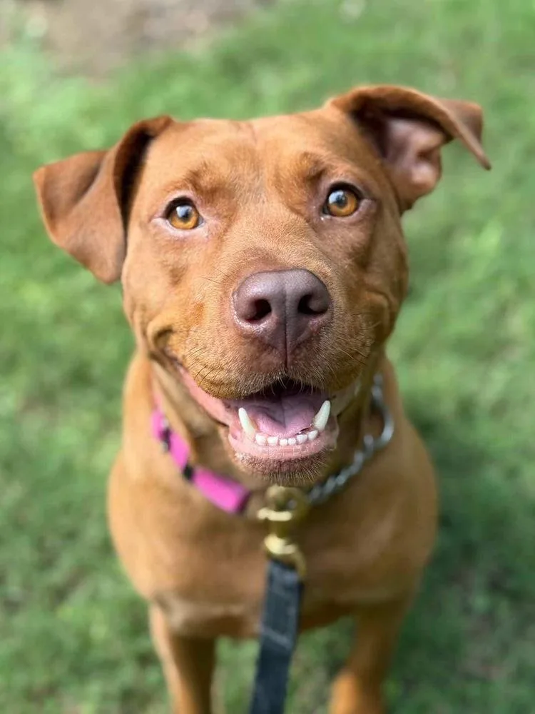 Mama Java thumbnail 3