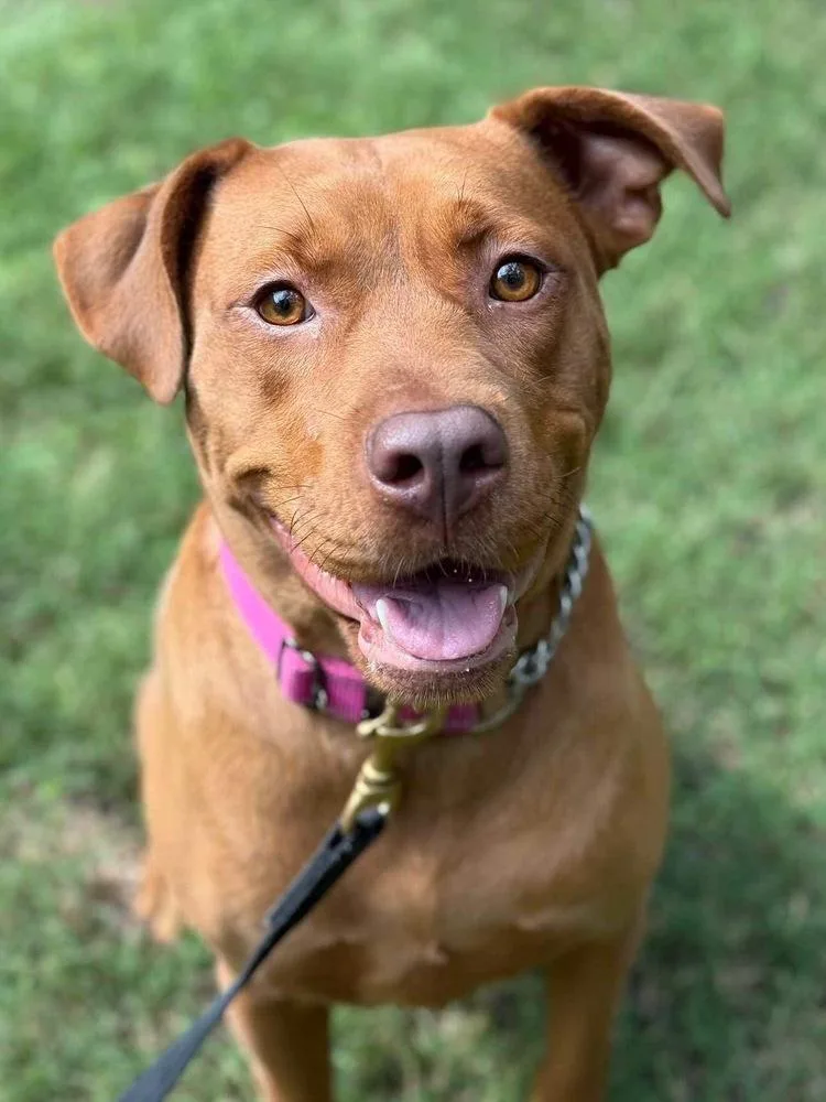 Mama Java thumbnail 4