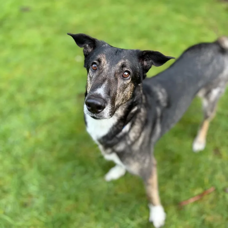 Princess thumbnail 5