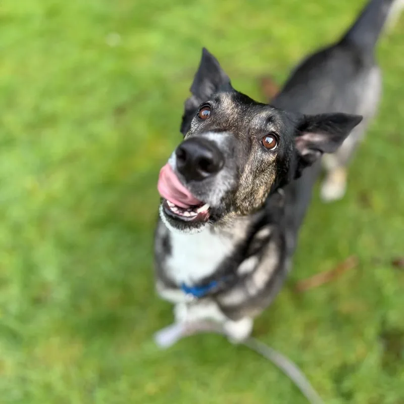 Princess thumbnail 6