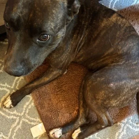 Ellie Aka Ellie Belly thumbnail 5