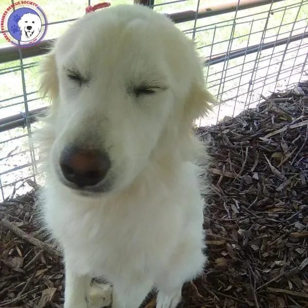 Carmen thumbnail 5