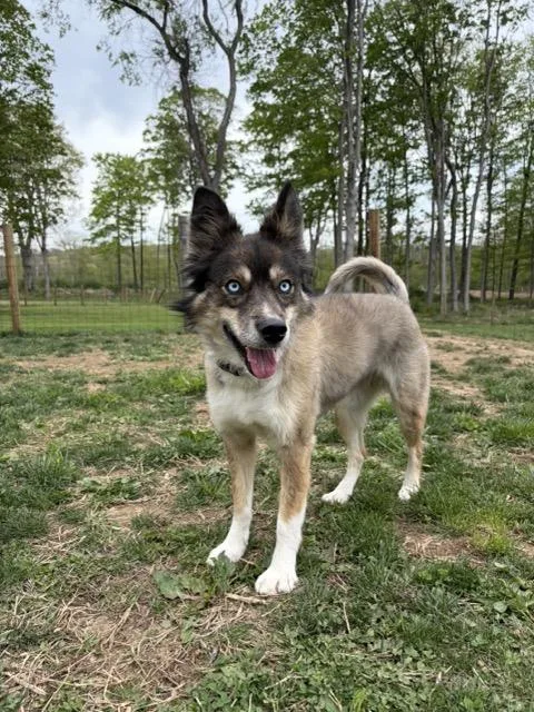 Marti