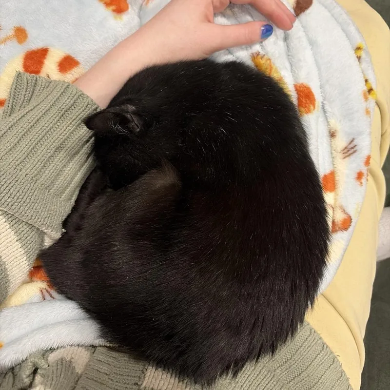 Princess Mitski thumbnail 3