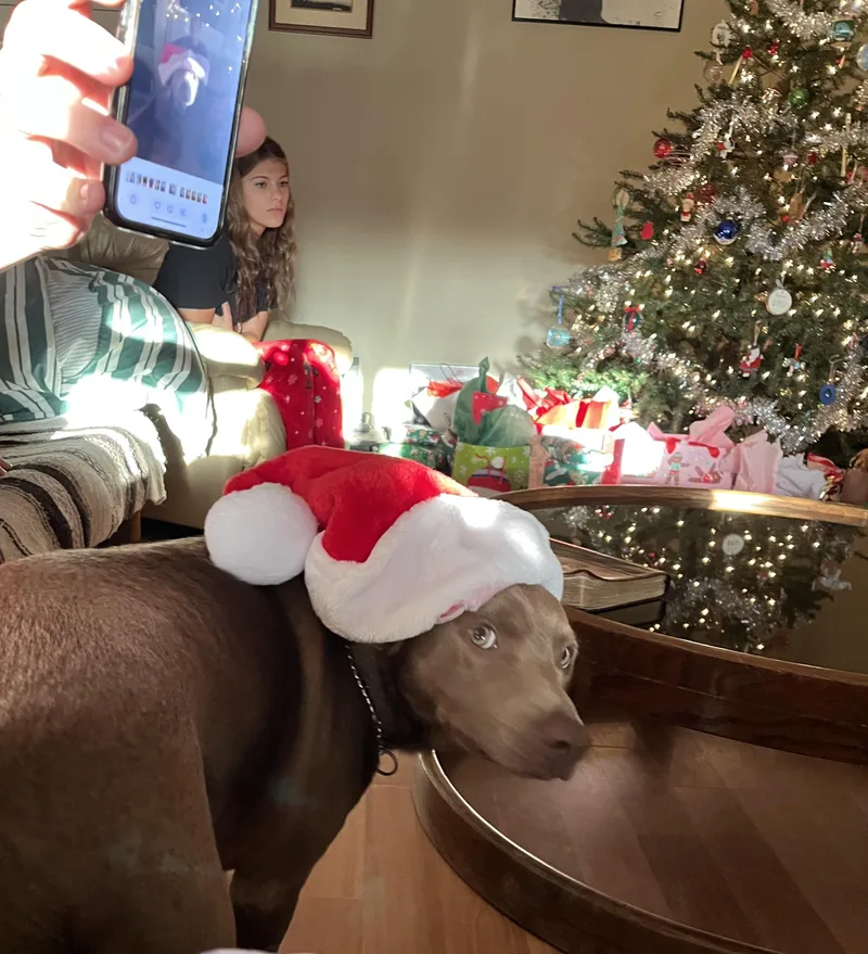 Toby  New Video thumbnail 3