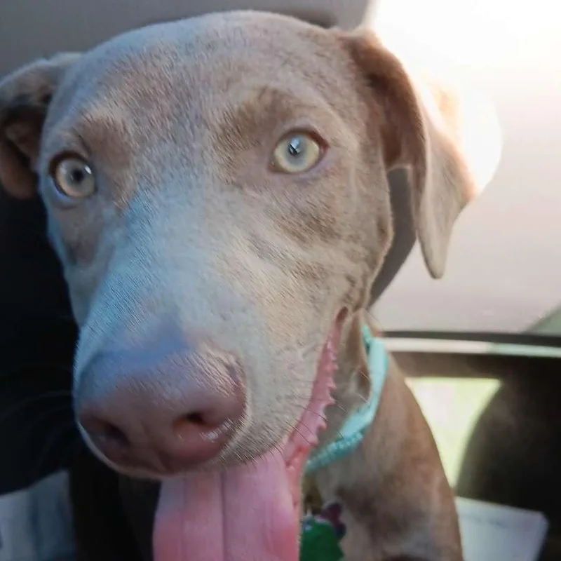 Toby  New Video thumbnail 5