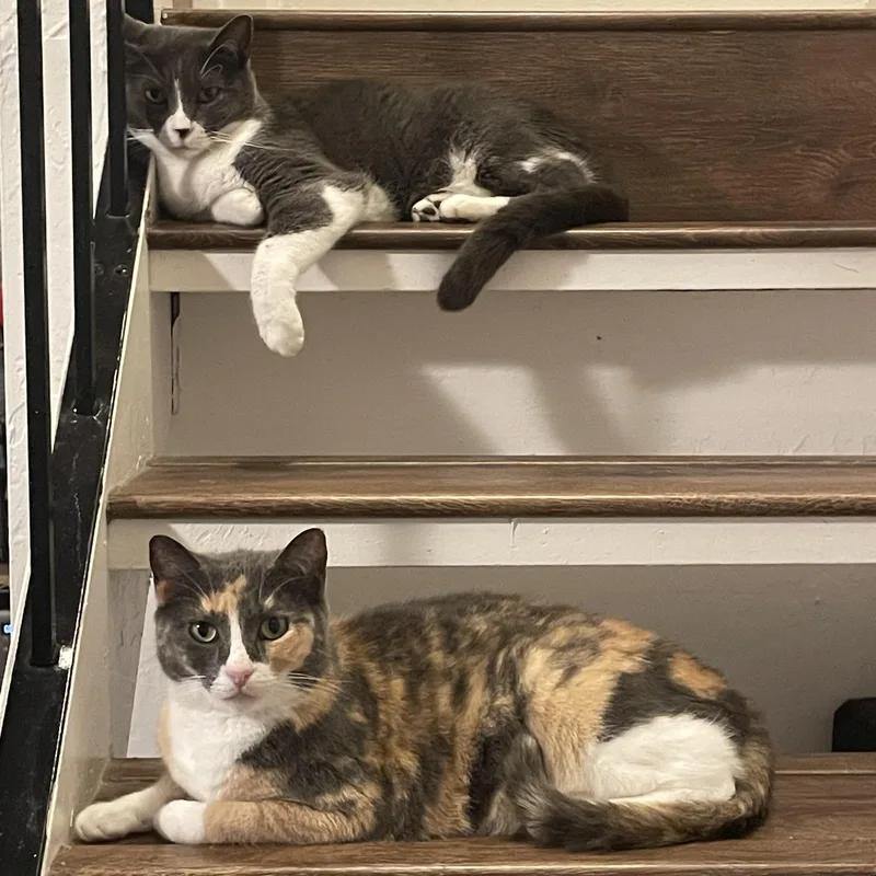 Tom & Geri thumbnail 2