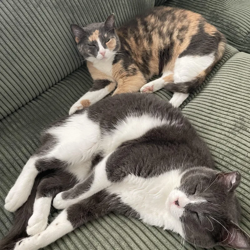 Tom & Geri thumbnail 3