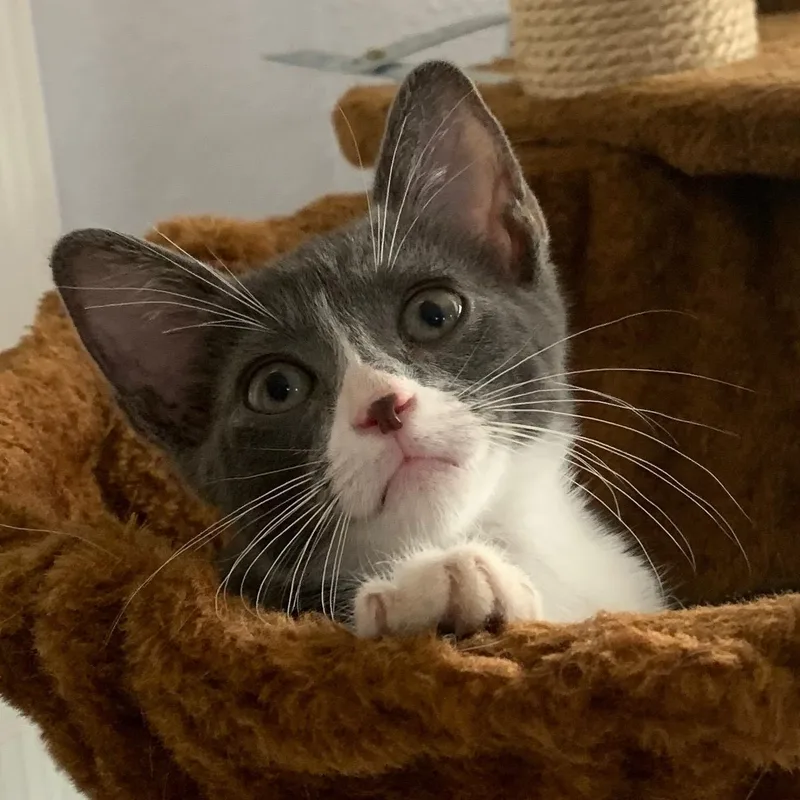 Tom & Geri thumbnail 4