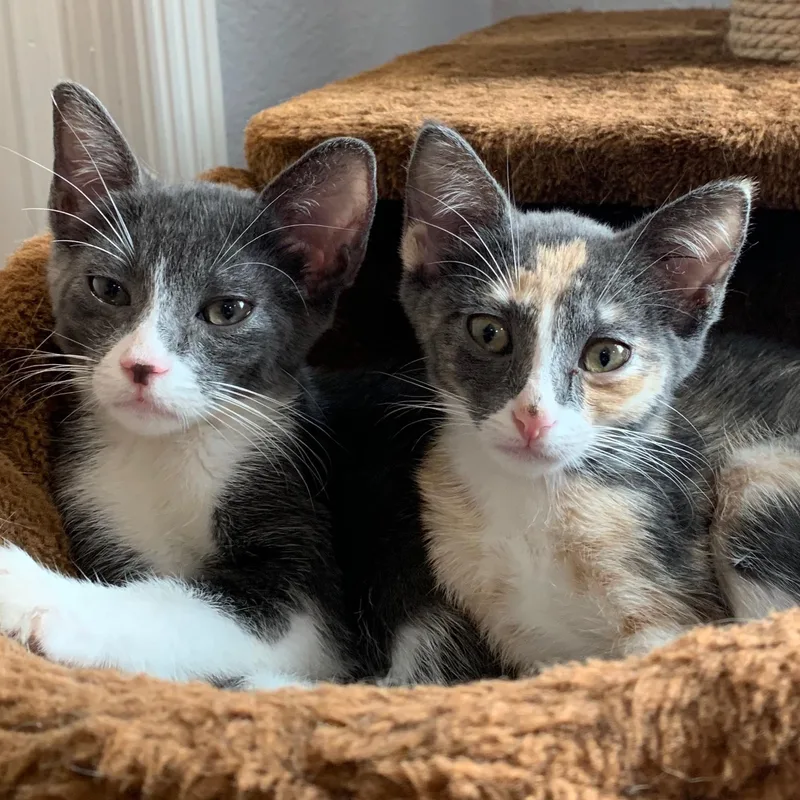 Tom & Geri thumbnail 5