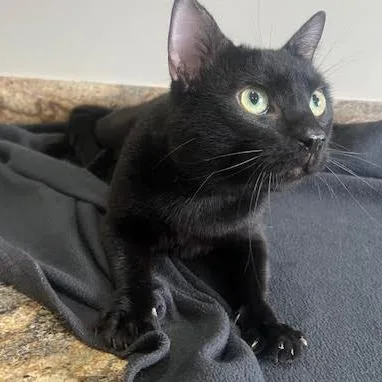 Bill Nye thumbnail 2