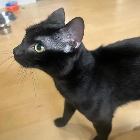 Bill Nye thumbnail 3