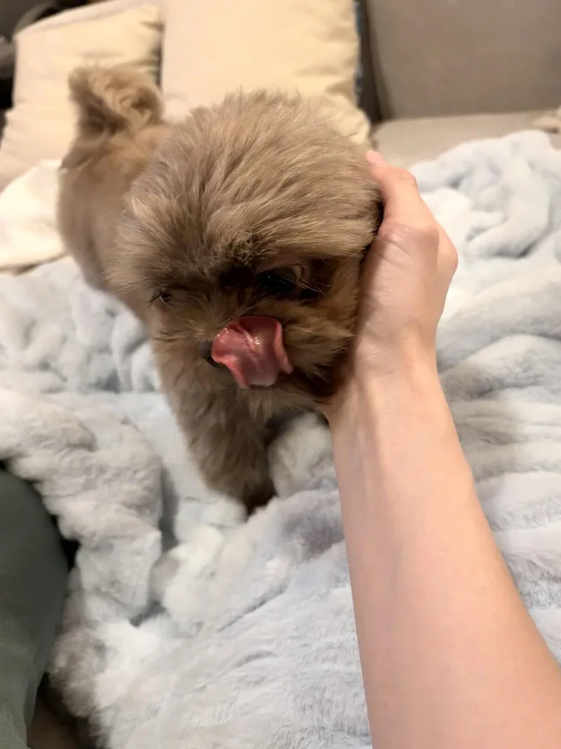 MatildaARR thumbnail 3