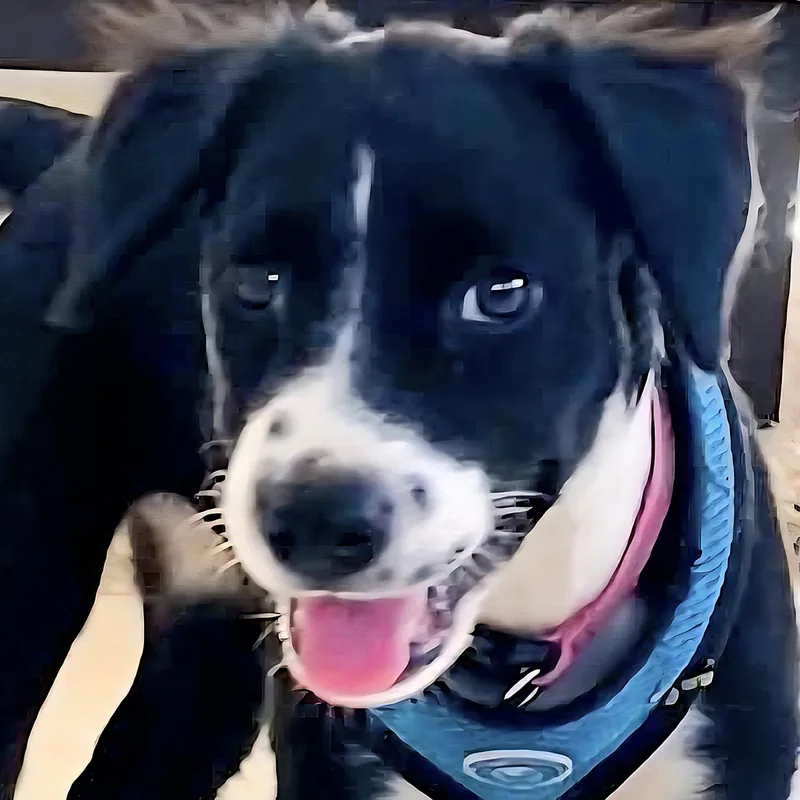 Mini Mimi "the Sweetheart