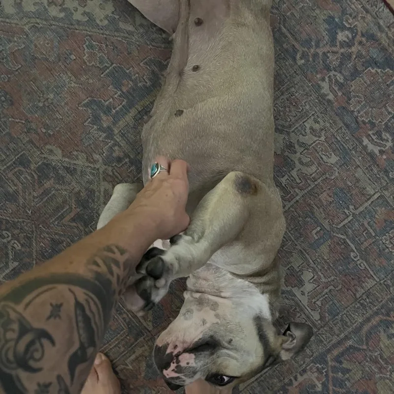 Sandy Aka Cleo thumbnail 2