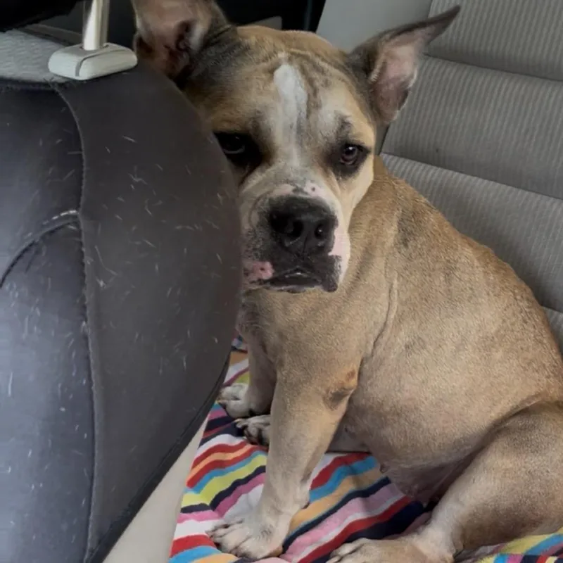 Sandy Aka Cleo thumbnail 3