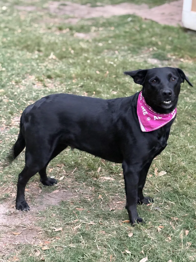 Twinkles thumbnail 2