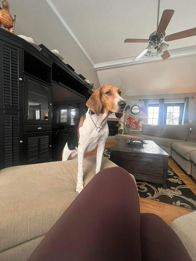 Lilly thumbnail 2