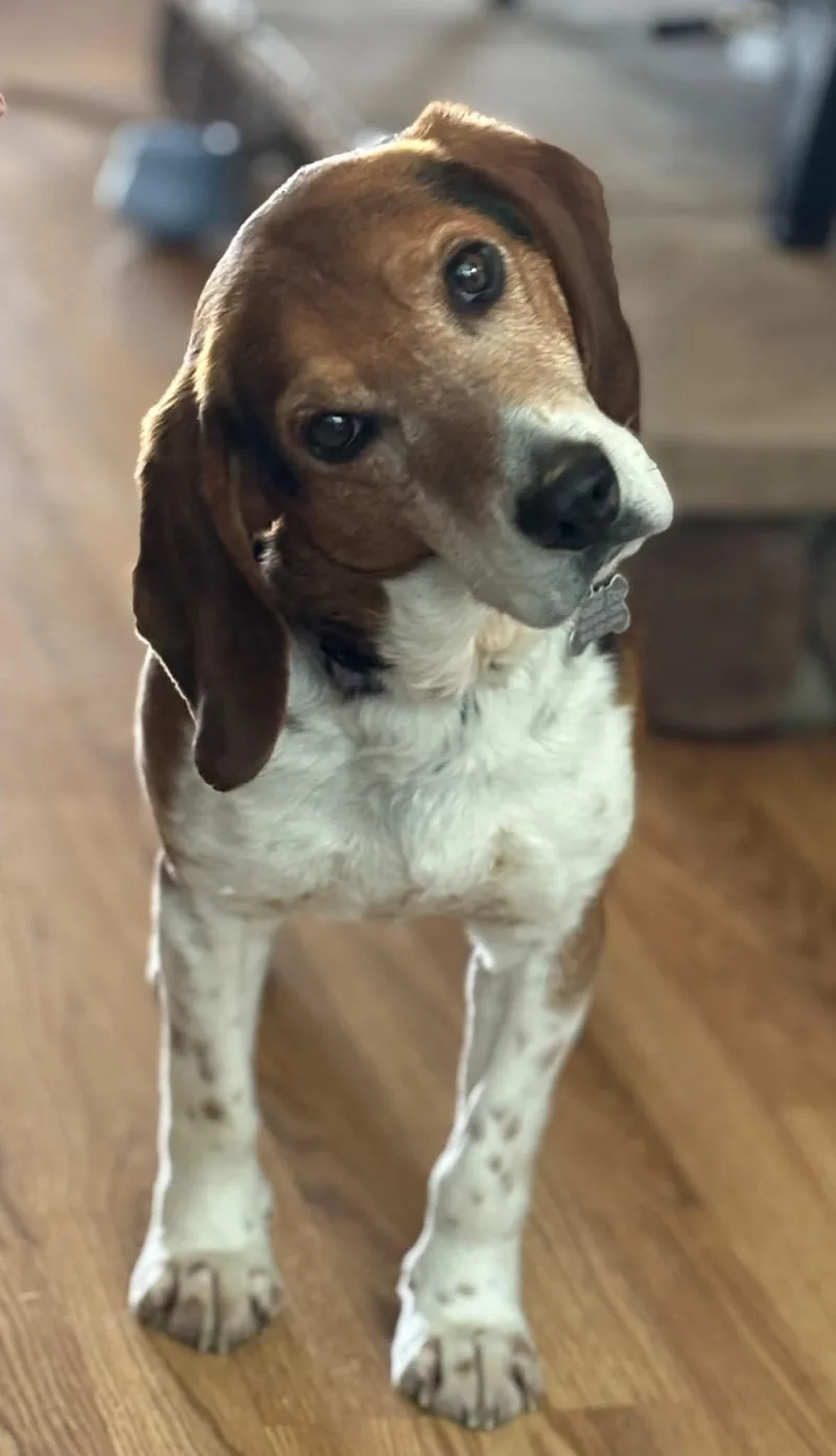 Bruce