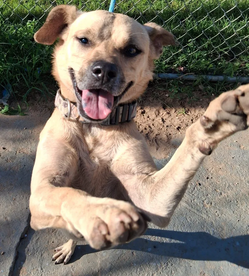 Bobby Ray thumbnail 2