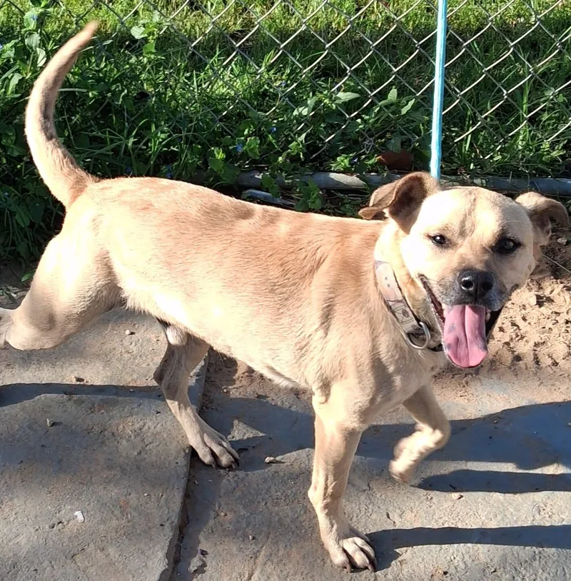 Bobby Ray thumbnail 3