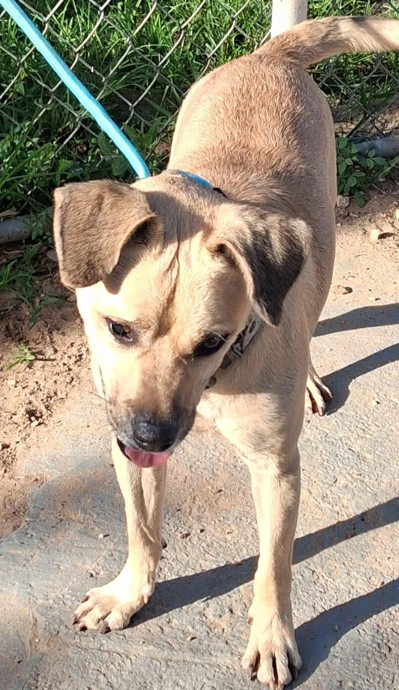 Bobby Ray thumbnail 4