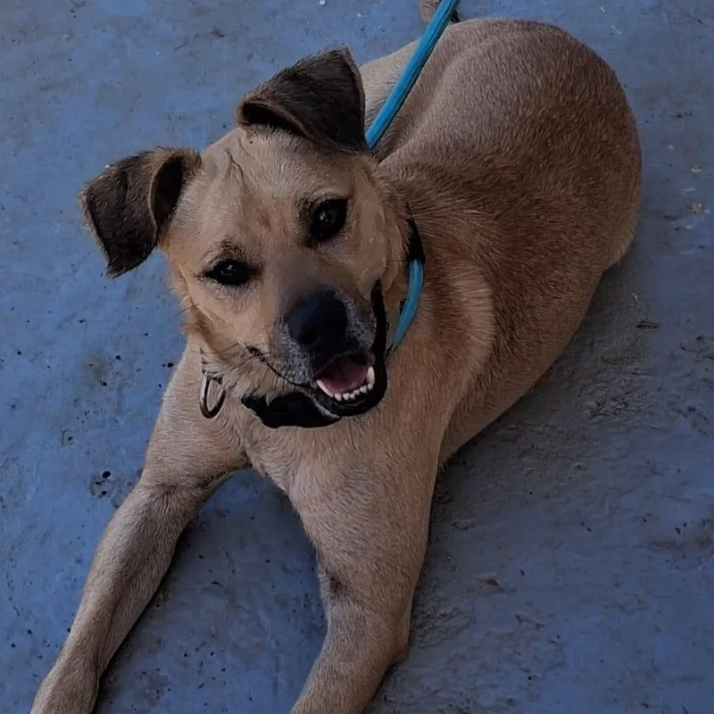 Bobby Ray thumbnail 5