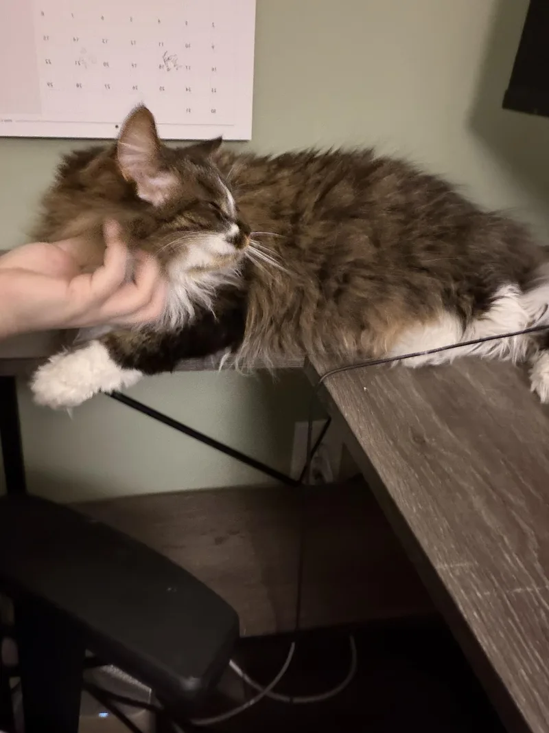 Charles And Fiona Bonded thumbnail 2