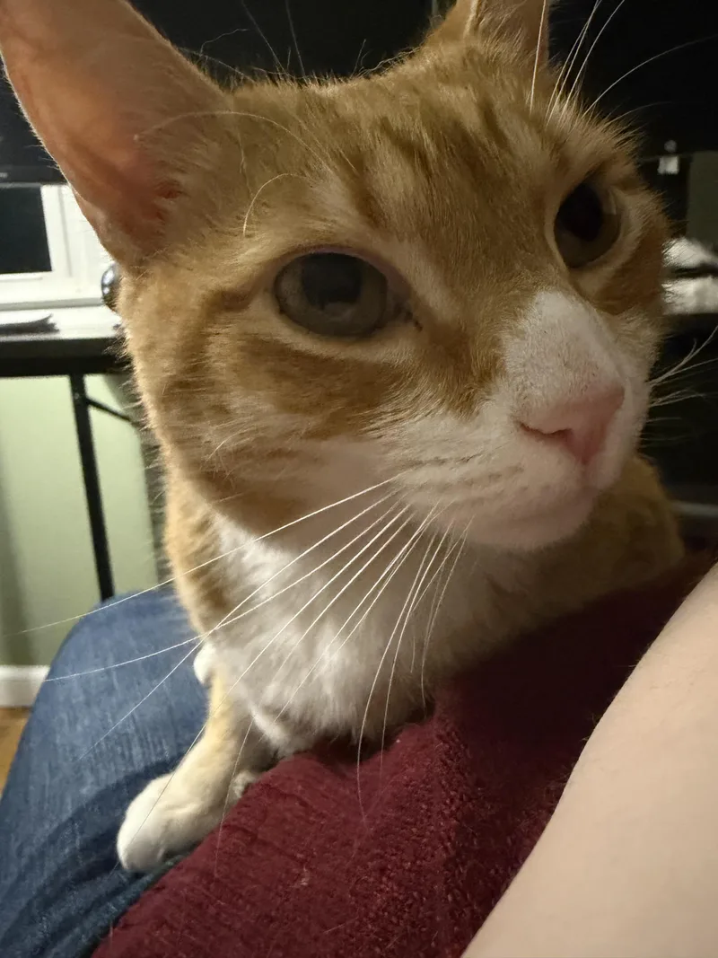 Charles And Fiona Bonded thumbnail 3