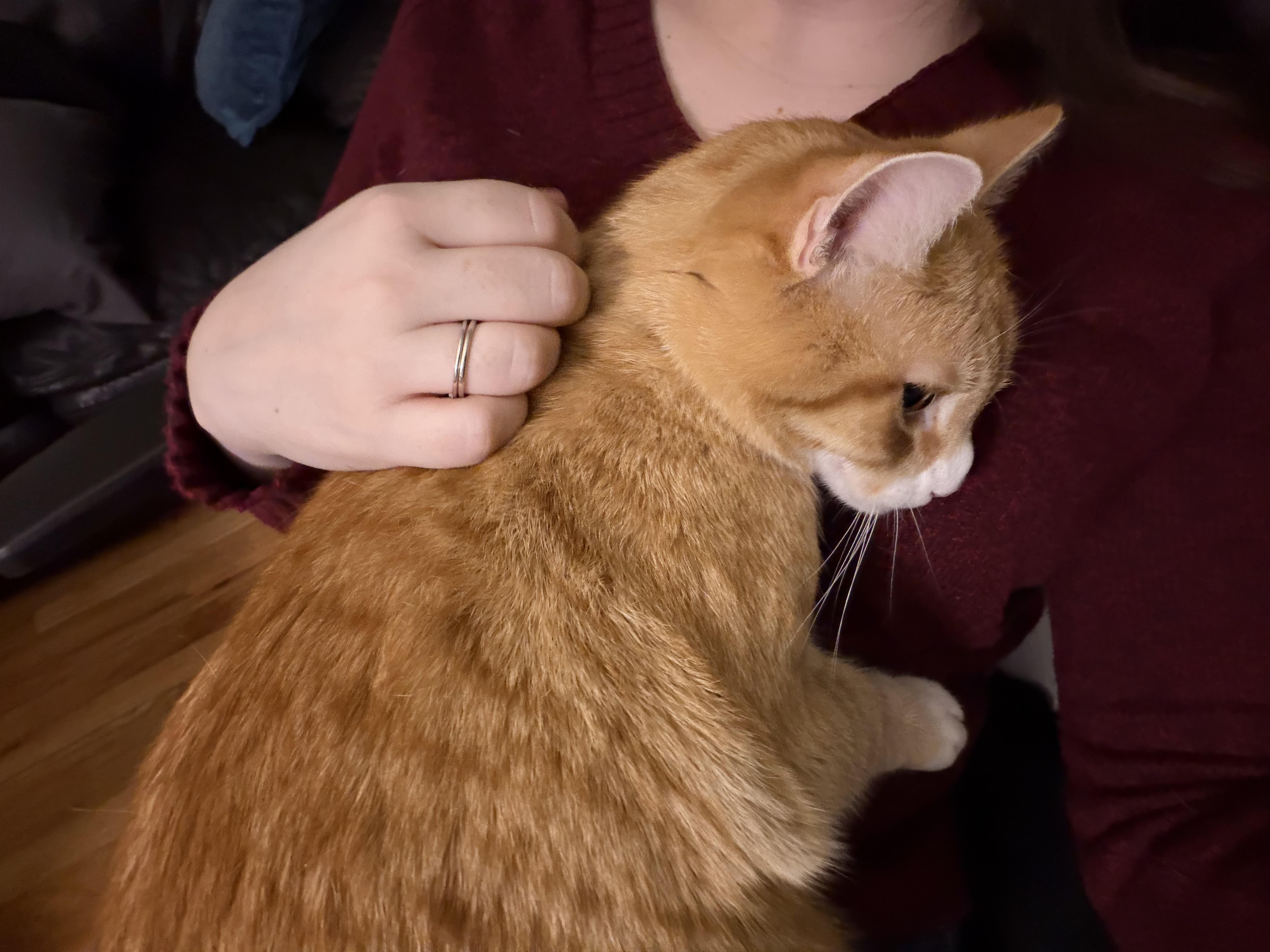 Charles And Fiona Bonded thumbnail 4