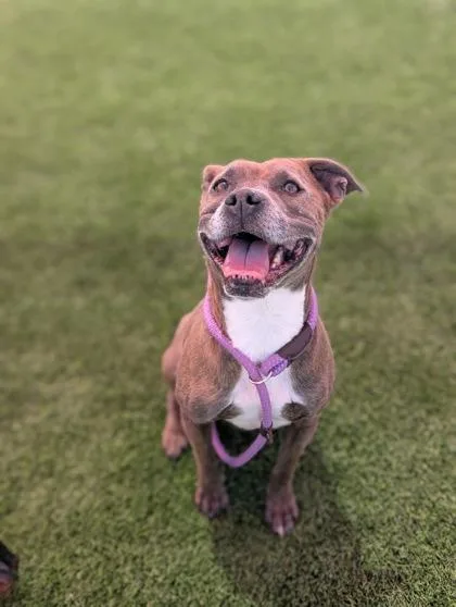 Luna