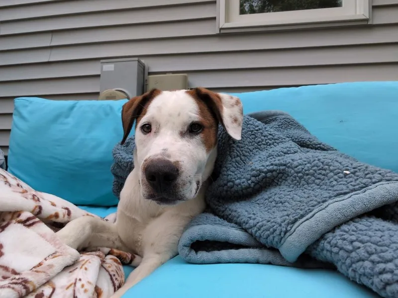 Cloudberry thumbnail 3