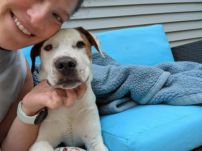 Cloudberry thumbnail 5