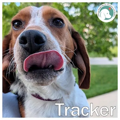 Tracker thumbnail 4