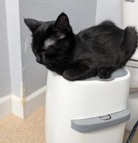 Nugget Ice Maker