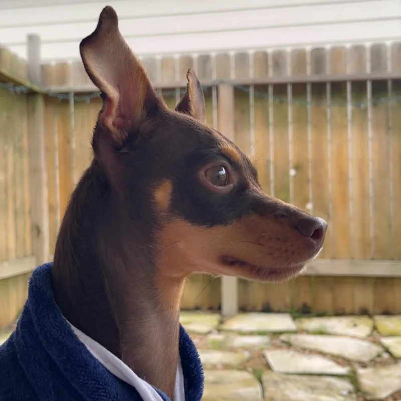 Sebastian
