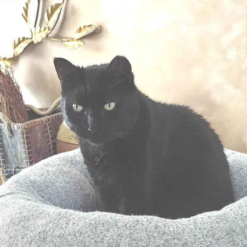 Kirby Branch thumbnail 2