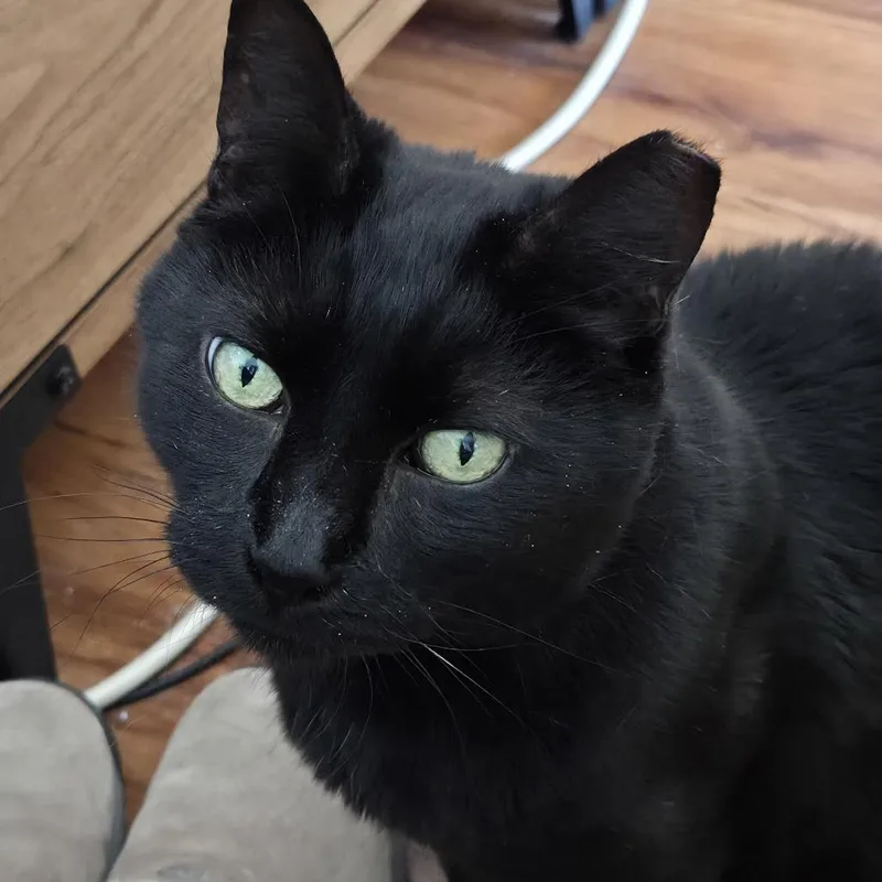 Kirby Branch thumbnail 3