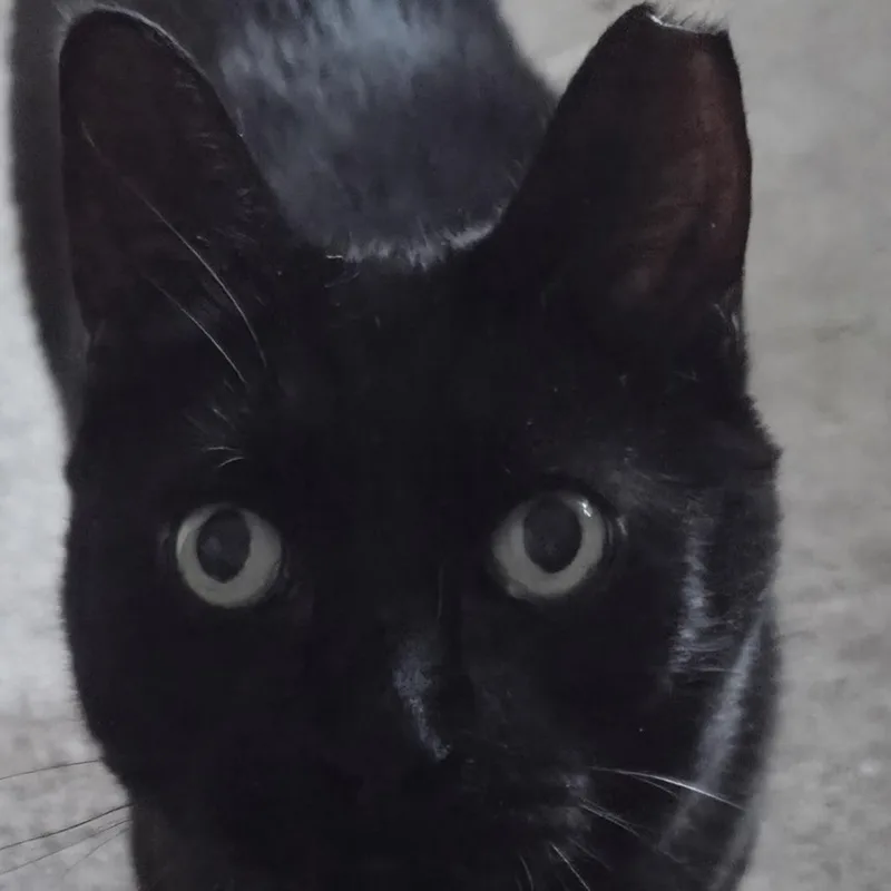 Kirby Branch thumbnail 4