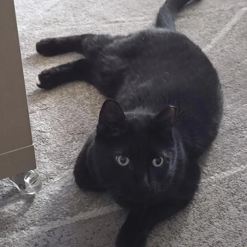 Kirby Branch thumbnail 5