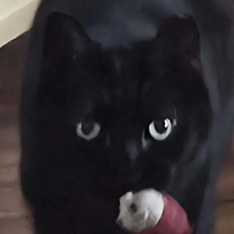 Kirby Branch thumbnail 6