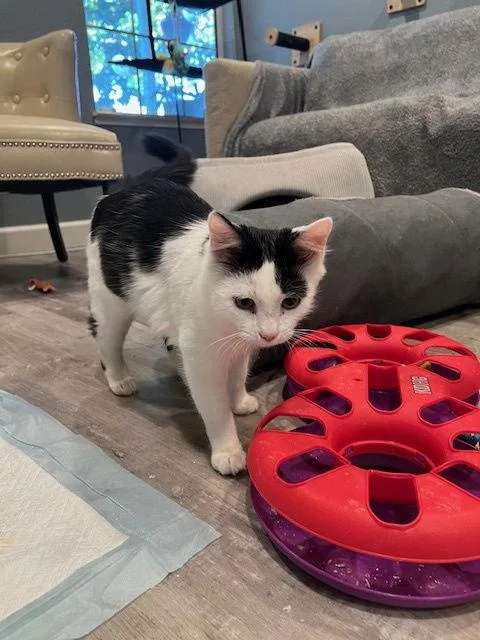 Stormy   Frankie thumbnail 2