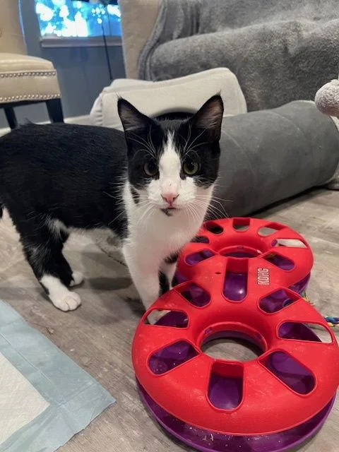 Stormy   Frankie thumbnail 3