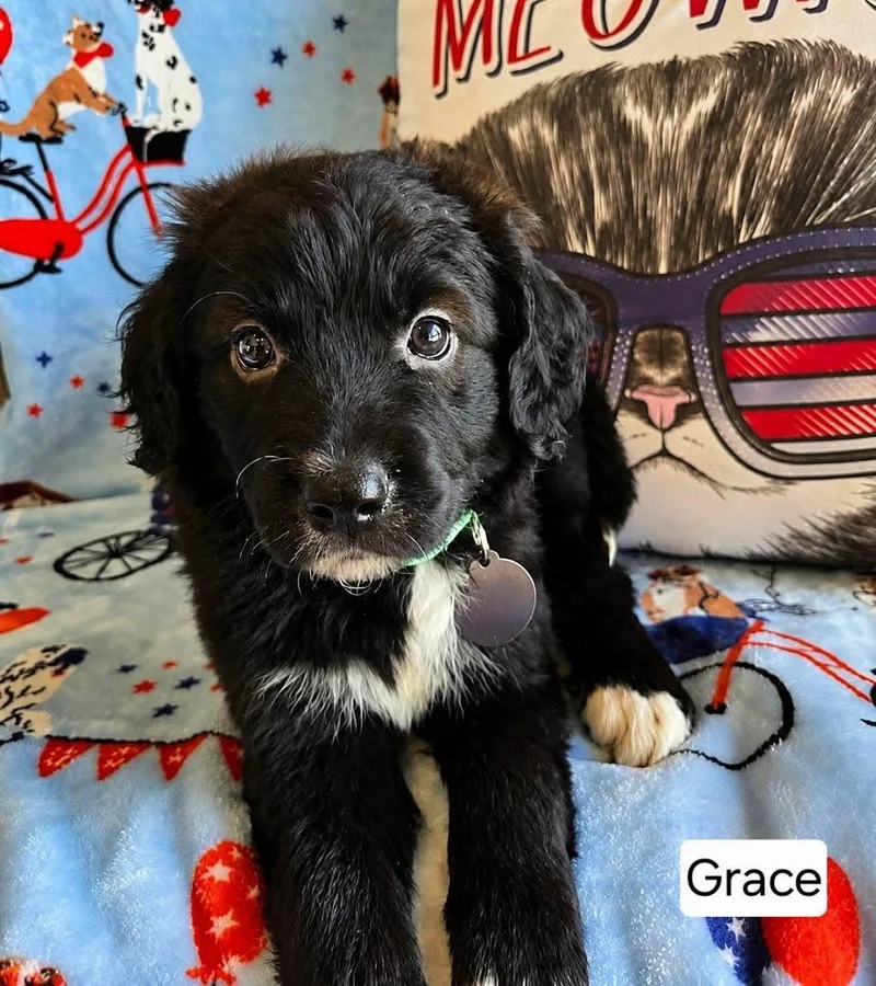 Grace