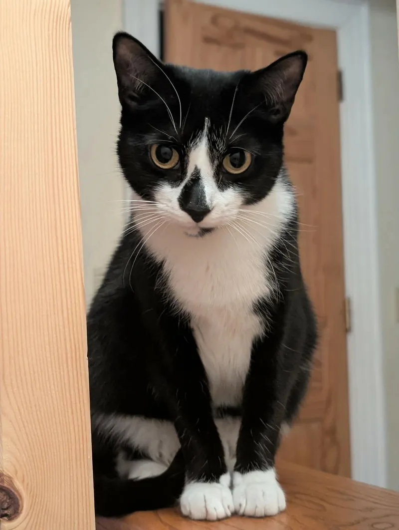 Wyle  Affectionate Water thumbnail 2