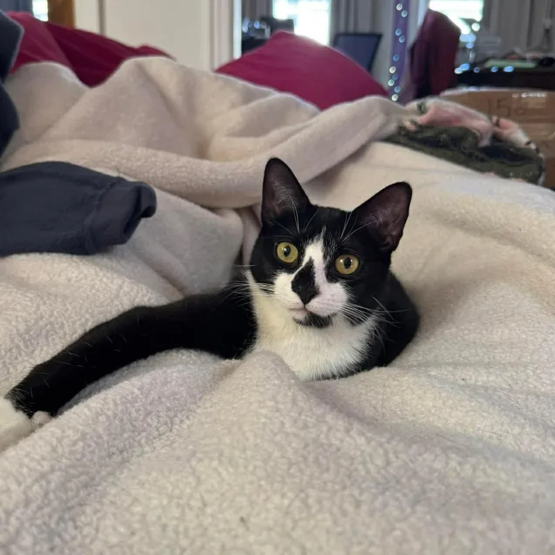 Wyle  Affectionate Water thumbnail 5