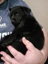 Belle thumbnail 2