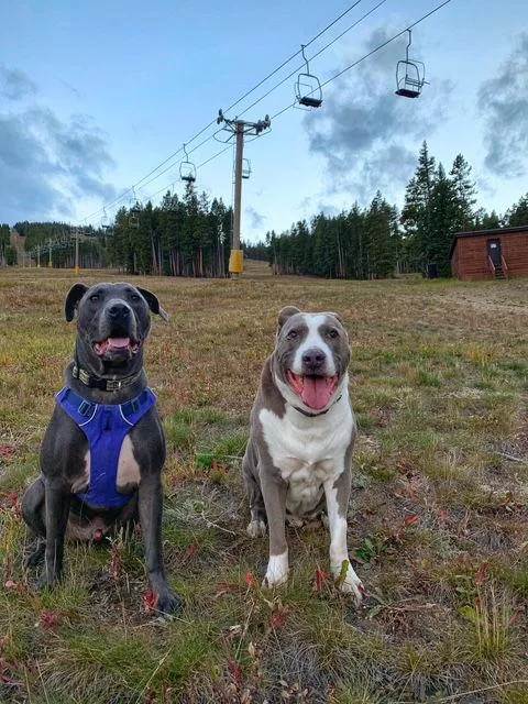 Saranac  Aka "snacks"